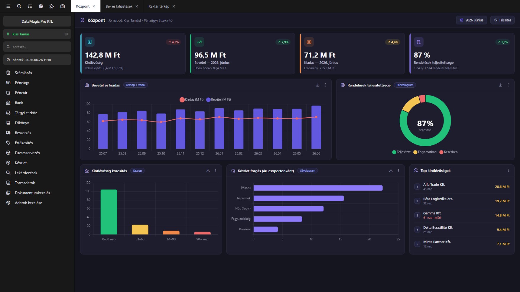 DataMagic ERP – financial overview control panel