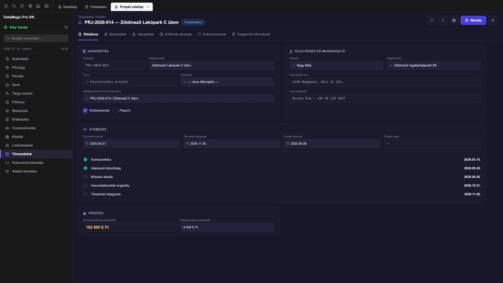Project record in DataMagic PMS with identification data, customer, responsible owner, schedule and milestones