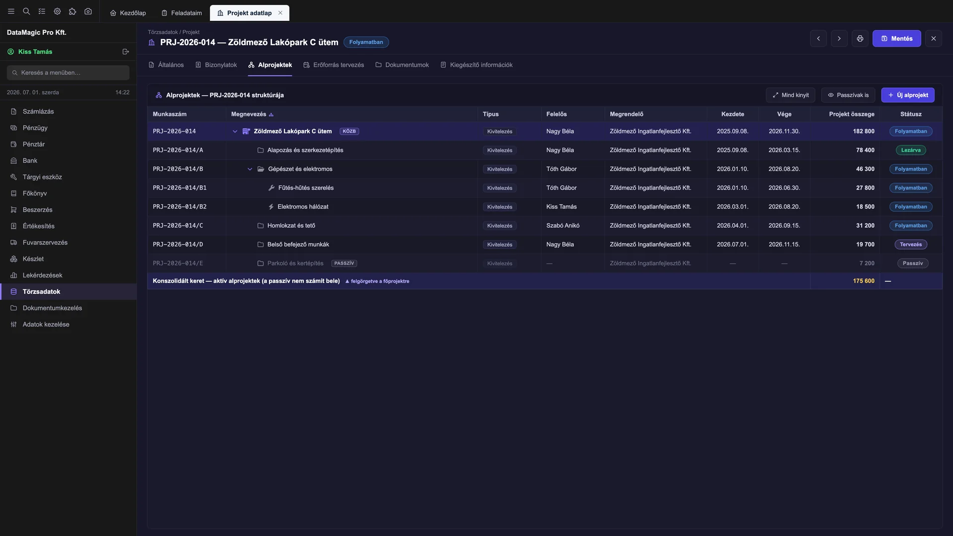 Sub-project structure in DataMagic PMS: main project with its sub-projects, each with its own budget, deadline and owner, and the consolidated figures