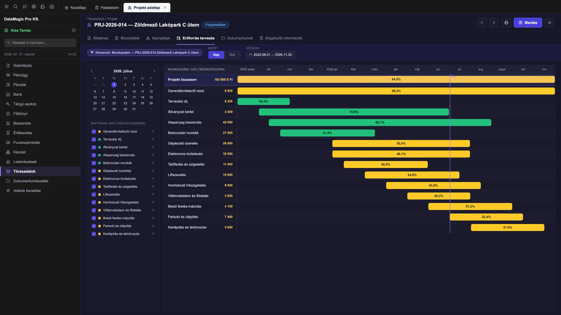 Resource planning timeline in DataMagic PMS: work items as bars at real length with completion percentages, the Today line and a summary bar